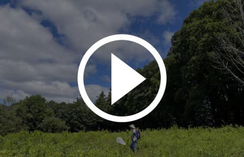 Video tile image for NHBMN 2025 webinar series