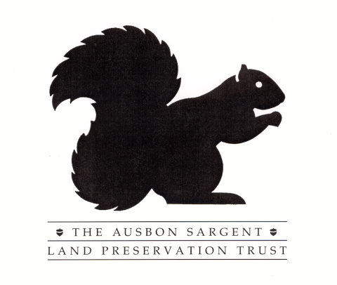 Ausgon Sargent Logo